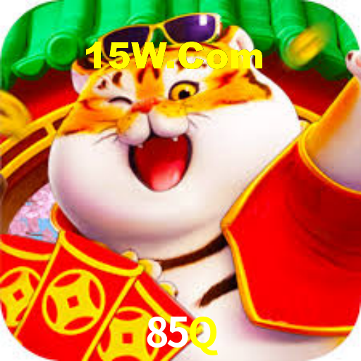 85q.com